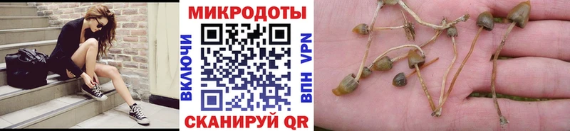 omg зеркало  купить закладку  Бор  Псилоцибиновые грибы MAGIC MUSHROOMS 
