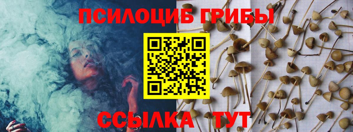 Псилоцибиновые грибы мухоморы Бор